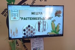 viber_изображение_2025-04-29_15-07-18-157